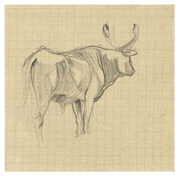 Visualizza l'immagine "FD D 377"